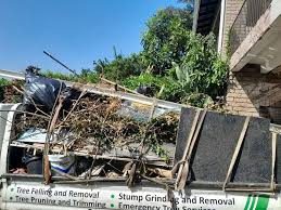 Best Moving and Downsizing Cleanouts  in Glendale Heights, IL